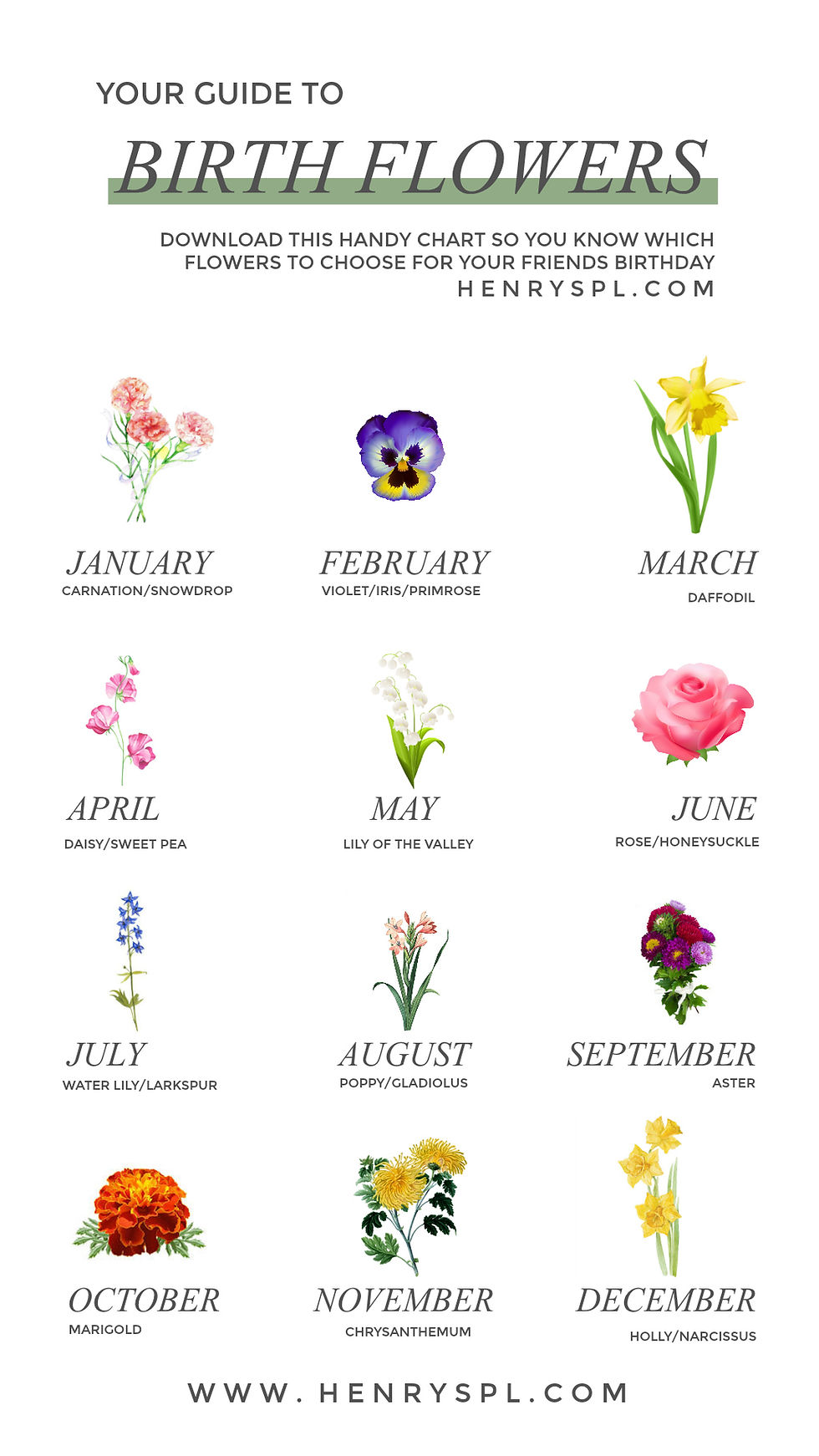 Flower For Each Birthday Month: Blossom Celebrations!