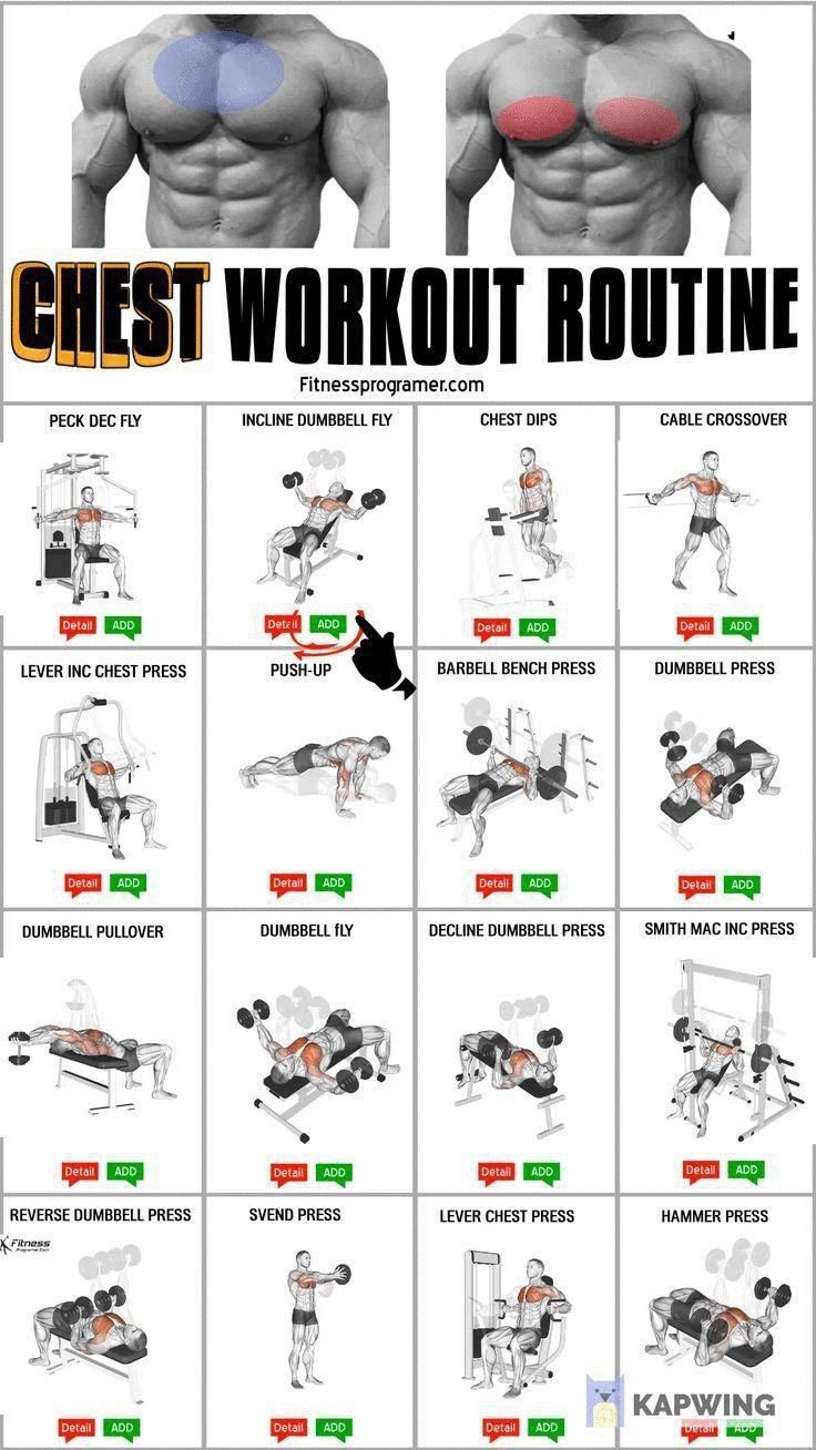 Chest Exercises Routine For Men: Maximize Muscle Growth