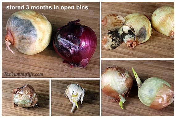 How Long Does Onion Last In The Fridge: Maximize Freshness!