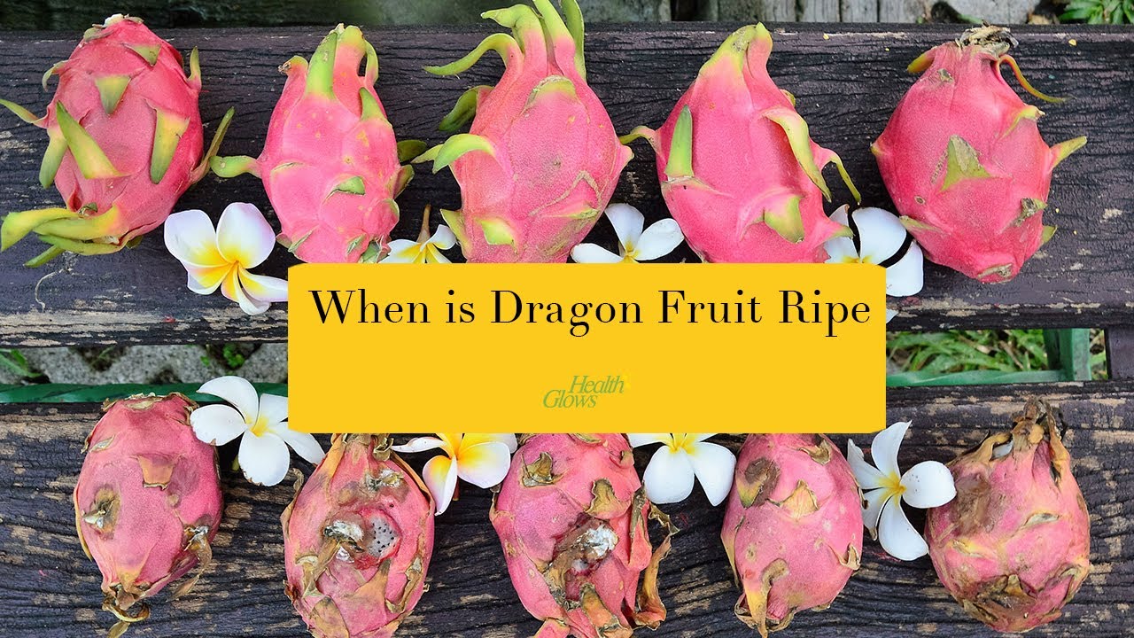 How Can You Tell If Dragon Fruit Is Ripe: Expert Tips