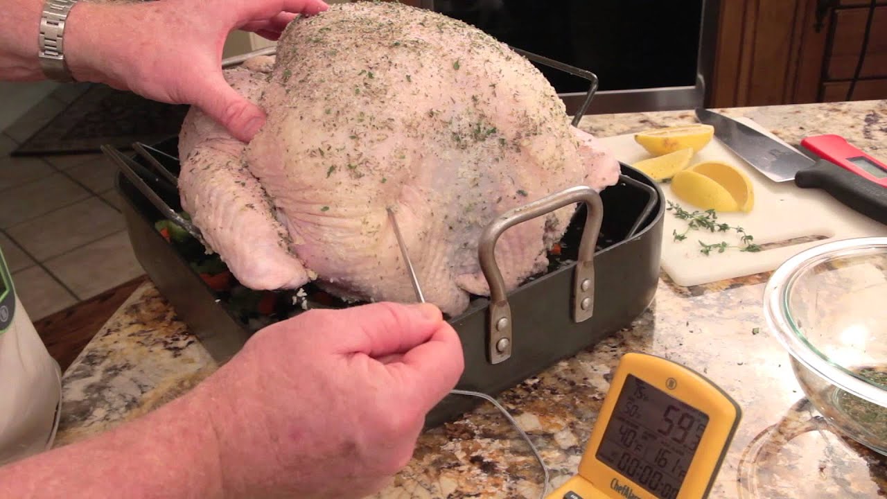 Where Do You Place The Thermometer In A Turkey: Expert Tips