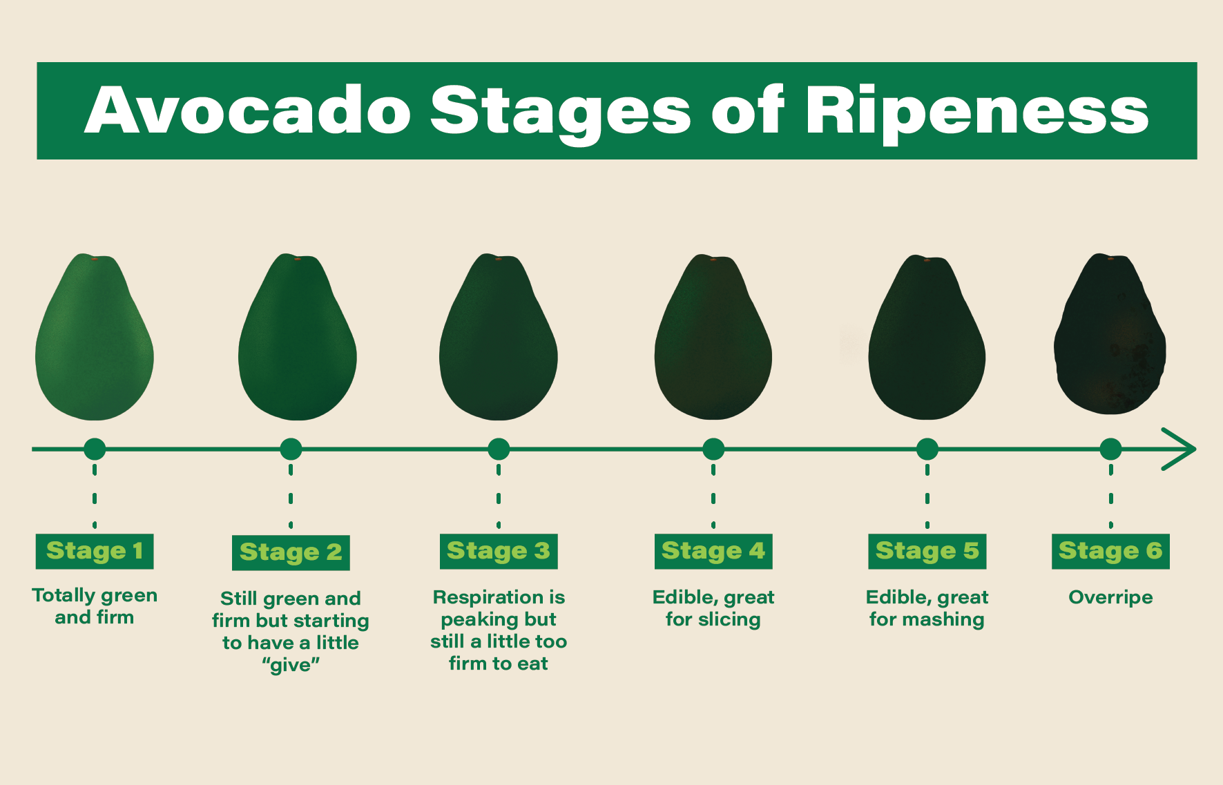 How To Know When Avocado Is Ready To Eat: Perfect Ripeness Tips
