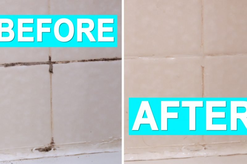 How To Get Rid Of Black Mold In The Shower: Proven Solutions