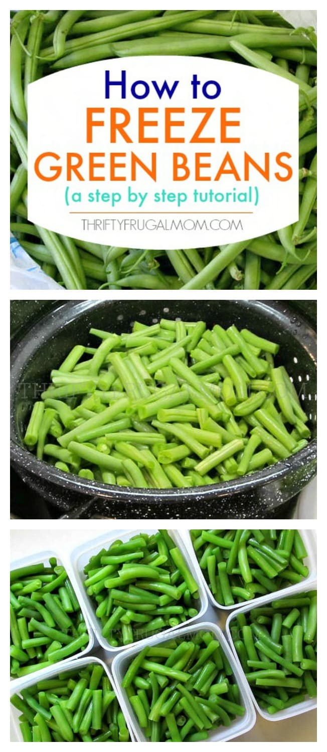 How To Freeze Green String Beans: Quick & Easy Guide