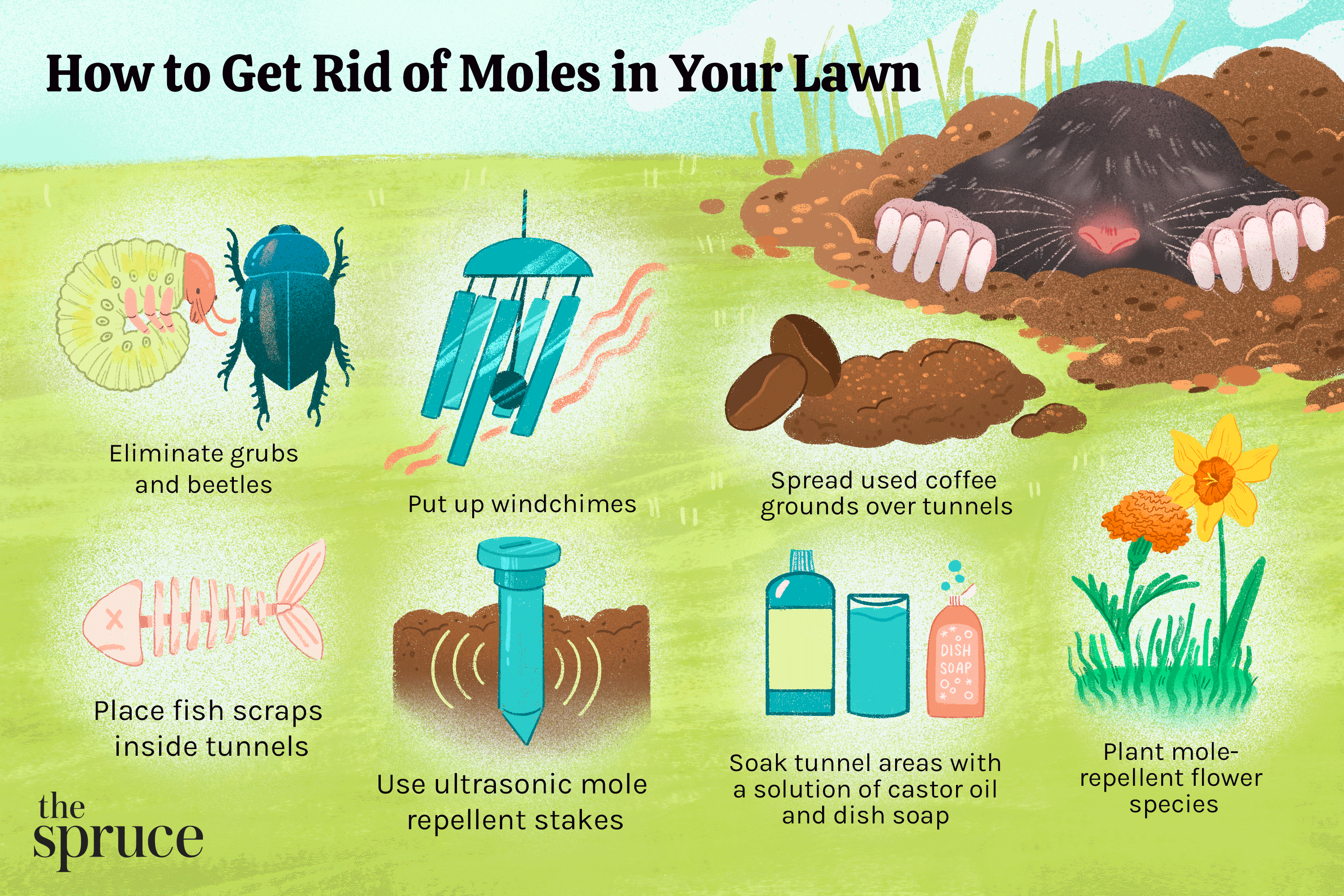 How Can I Get Rid Of Moles In The Yard: Proven Strategies