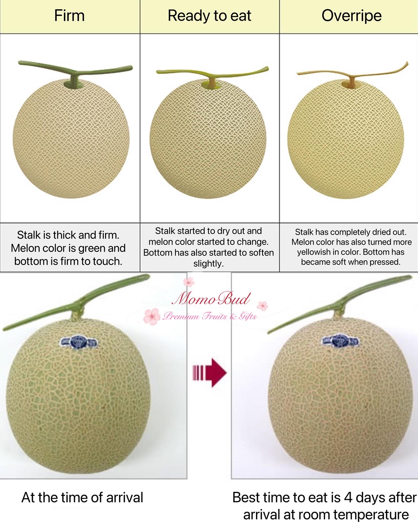 How Do You Know If A Cantaloupe Is Ripe? 5 Telltale Signs