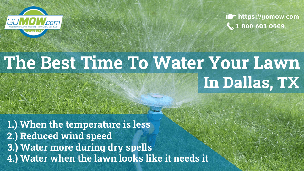 When Is The Best Time To Water Your Lawn: Optimal Schedules Revealed