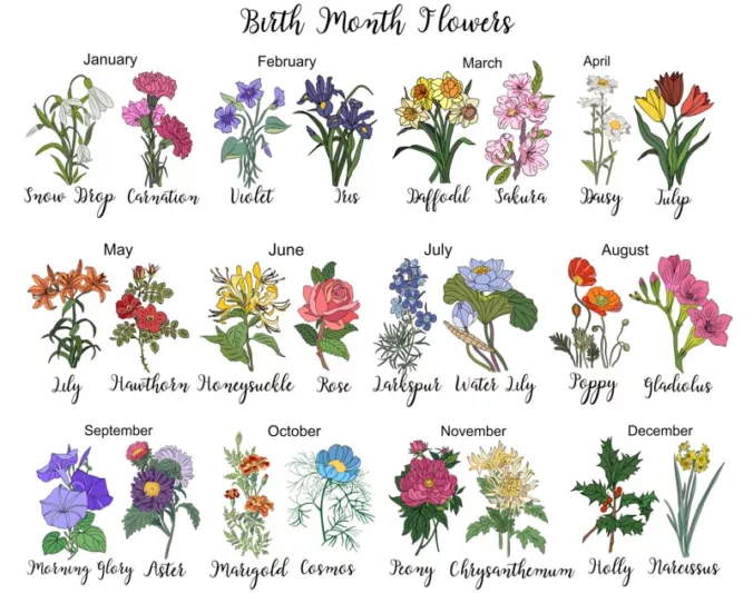 Flower For Each Birthday Month: Blossom Celebrations!