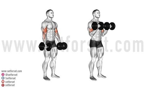 Biceps Exercise Using Dumbbells: Boost Strength Now!