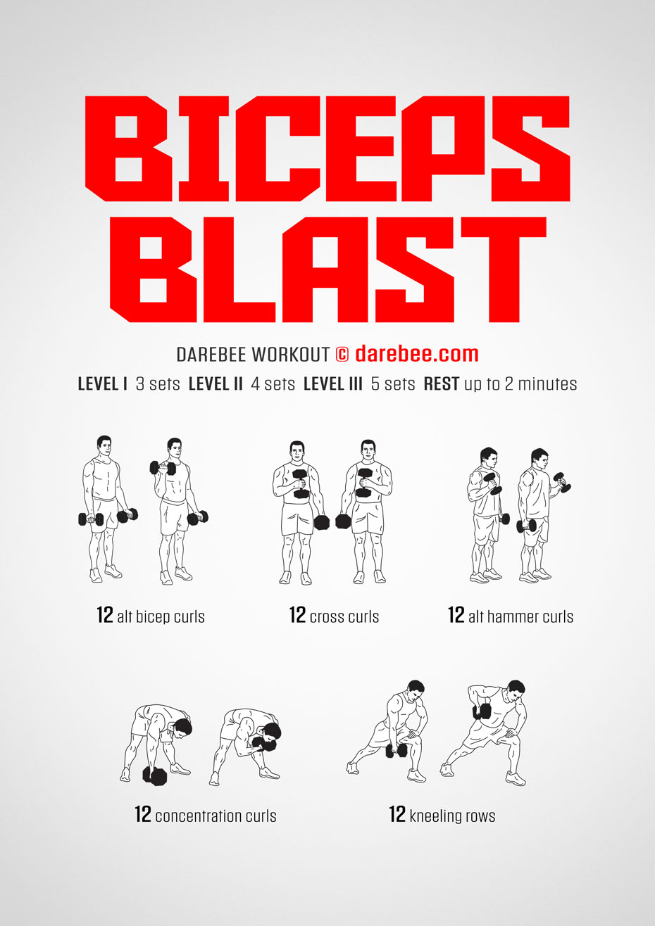 Exercise For Biceps Using Dumbbells