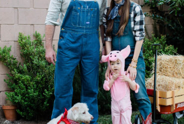 Halloween Costumes Family Of Three