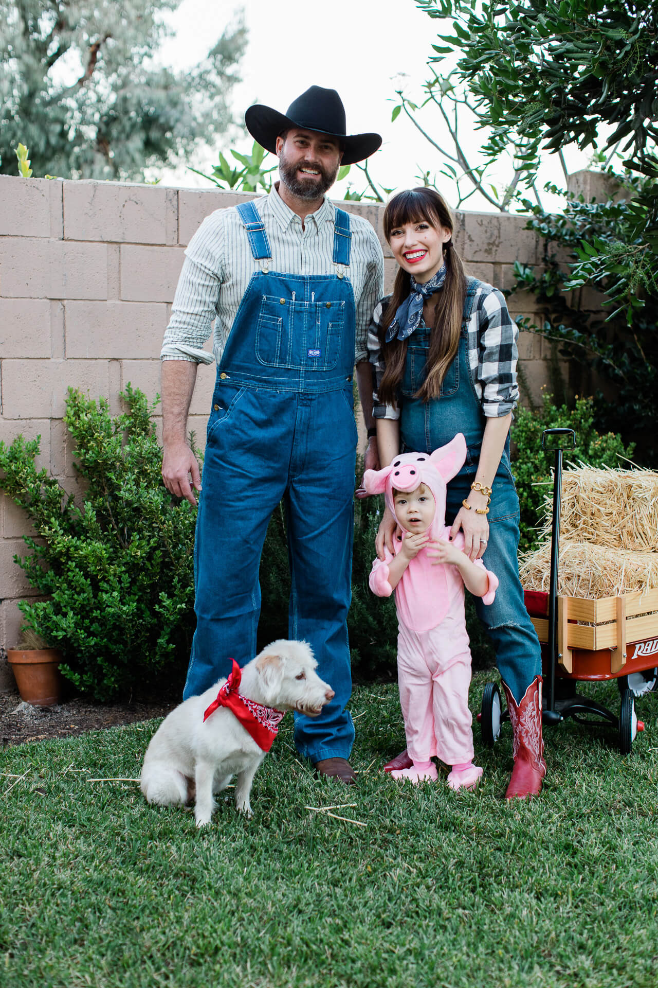 Halloween Costumes Family Of Three