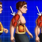 How Can You Lose Or Burn Fat Without Losing Muscle