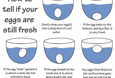 How Do You Know If Eggs Are Off