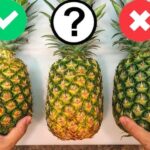 How Do You Know When A Pineapple Is Ripe