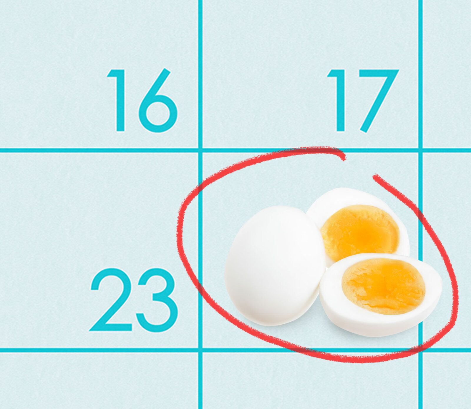 How Long Does Hard Boiled Eggs Last In The Fridge