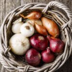 How Long Does Onion Last In The Fridge