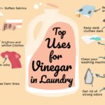 How To Clean A Clothes Washer With Vinegar