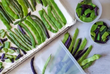 How To Freeze Green String Beans