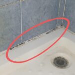 How To Get Rid Of Black Mold In The Shower