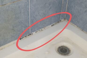 How To Get Rid Of Black Mold In The Shower