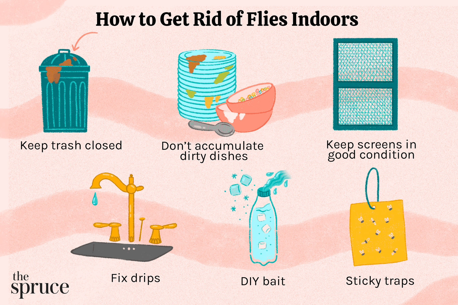 How To Get Rid Of Flies In The House Fast
