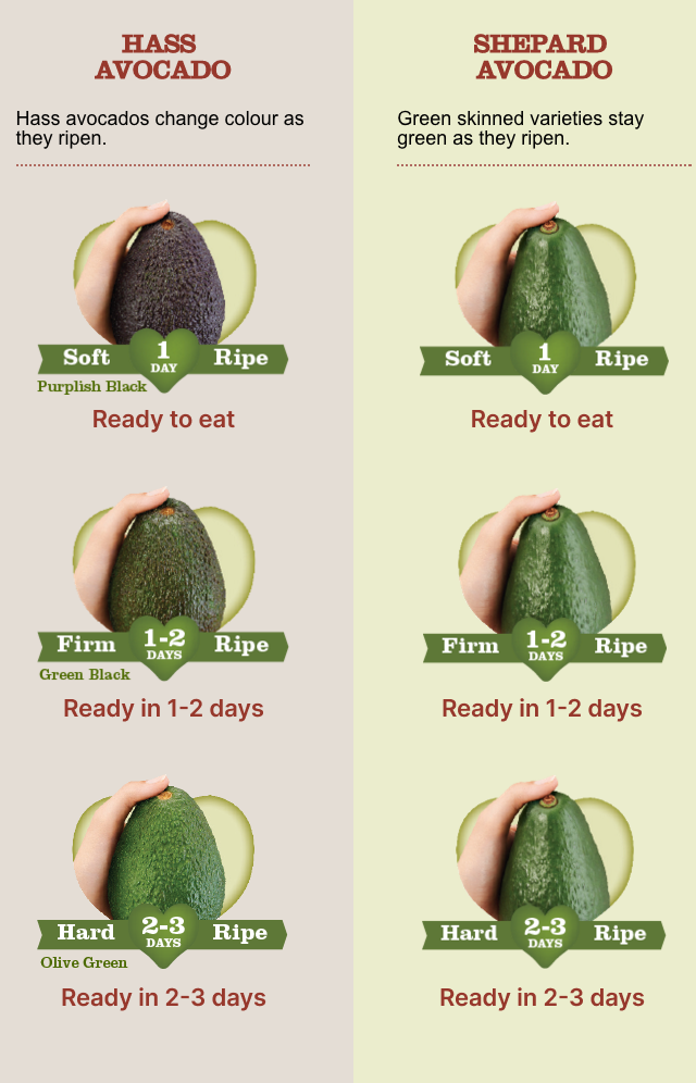 How To Know When Avocado Is Ready To Eat