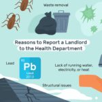 How To Report Apartment Complex To Health Department (With Samples)