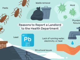 How To Report Apartment Complex To Health Department (With Samples)