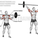 Muscles Involved In Overhead Press