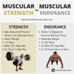 Muscular Strength Versus Muscular Endurance