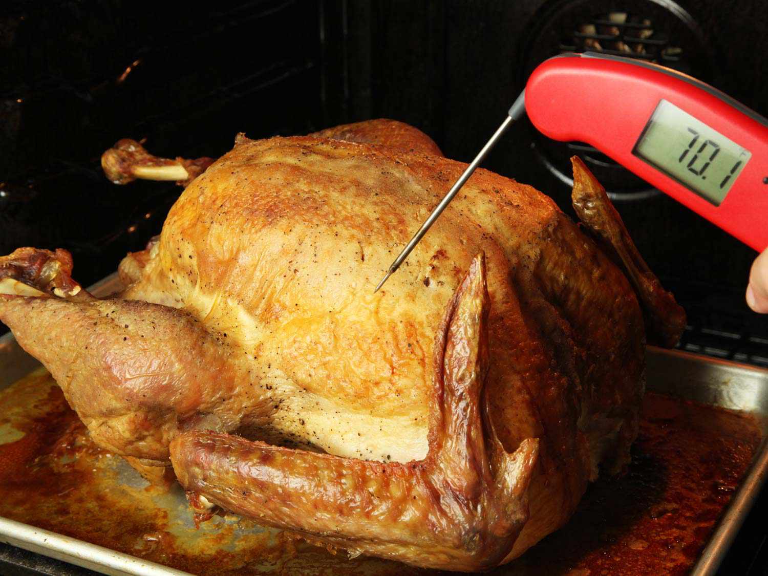 At What Temperature Do You Cook A Turkey?: Perfect Roast Guide