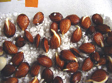 How Do You Plant A Peach Tree From A Seed: Pro Tips Unveiled