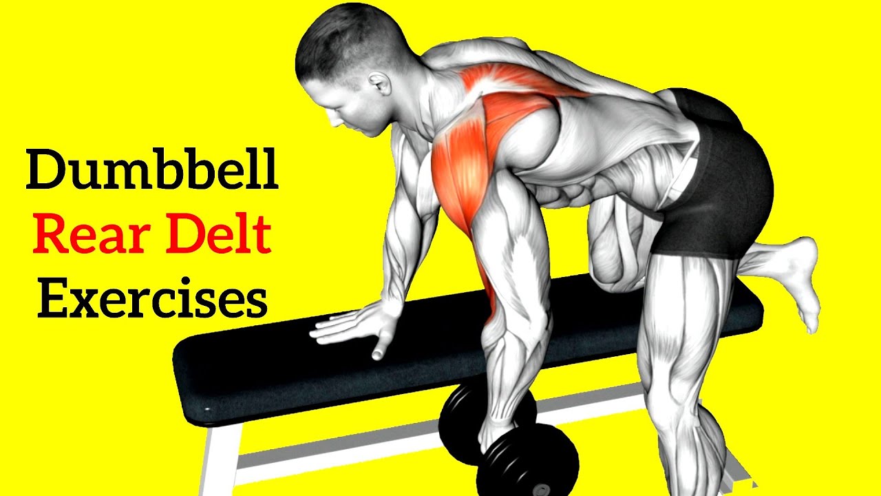 Rear Delt Workout With Dumbbells