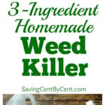 Recipe For Killing Weeds Using Vinegar