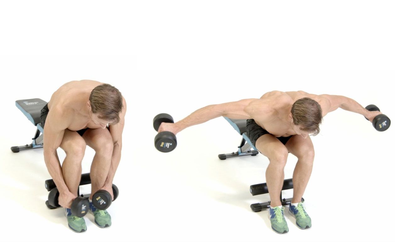 Rear Delt Workout With Dumbbells: Sculpt & Strengthen