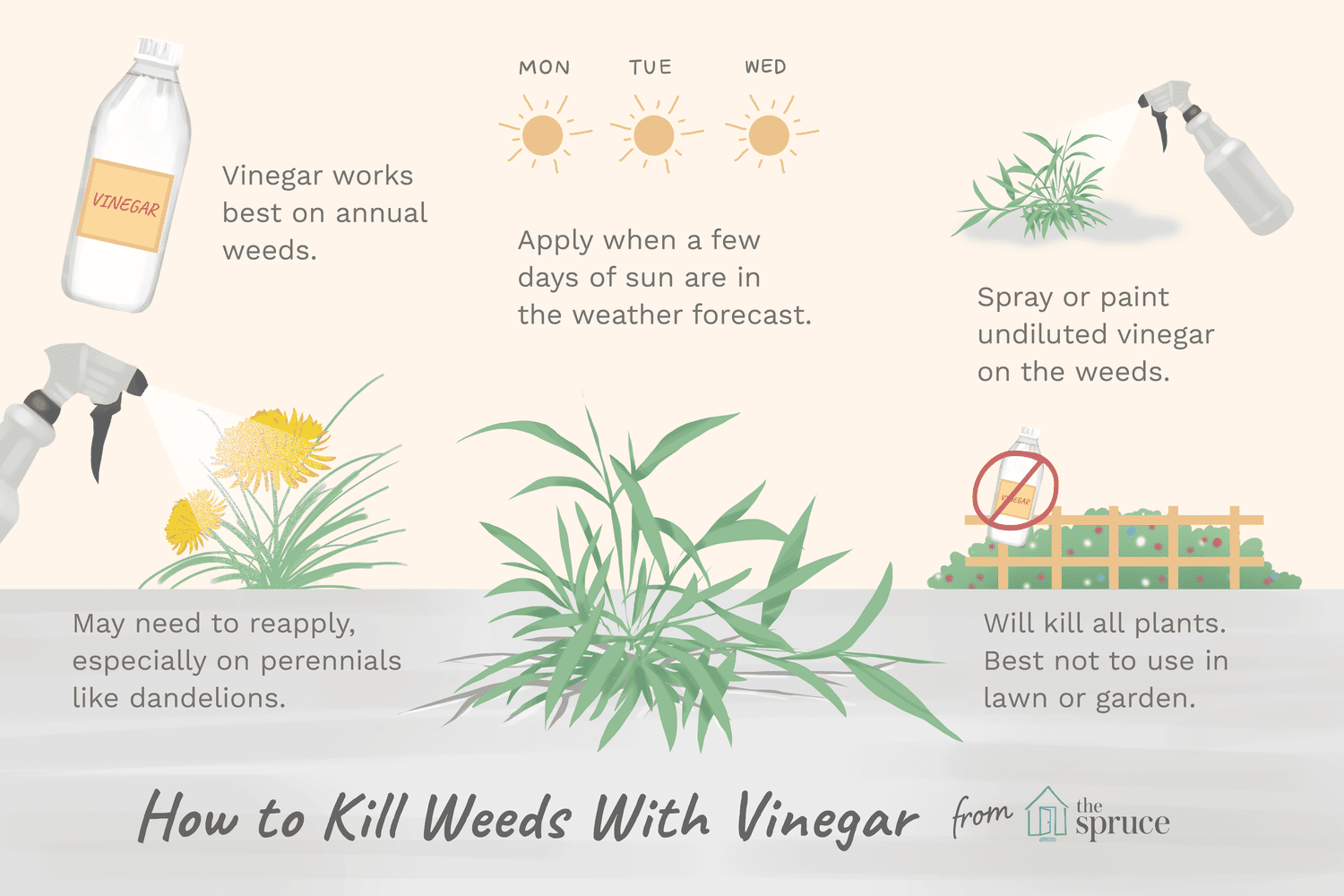 Recipe For Killing Weeds Using Vinegar: Eco-Friendly Solutions