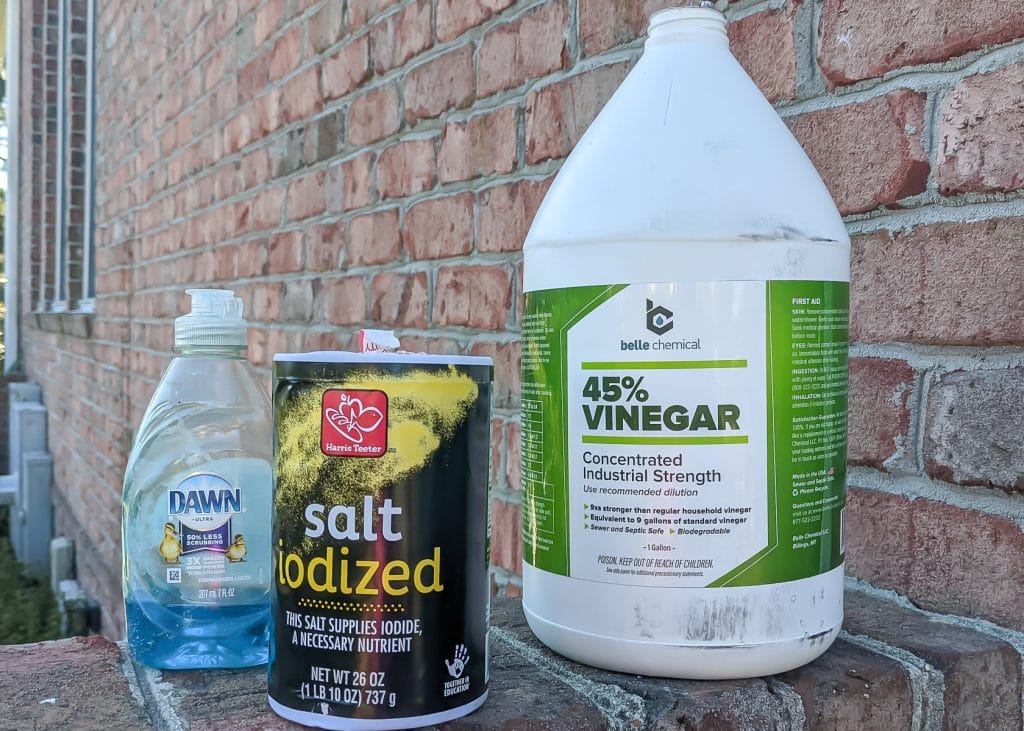 Recipe For Killing Weeds Using Vinegar: Eco-Friendly Solutions
