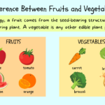 What Are The Differences Between Fruits And Vegetables