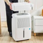 What'S A Good Dehumidifier For The Basement